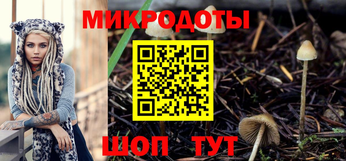 Галлюциногенные грибы MAGIC MUSHROOMS Минеральные Воды