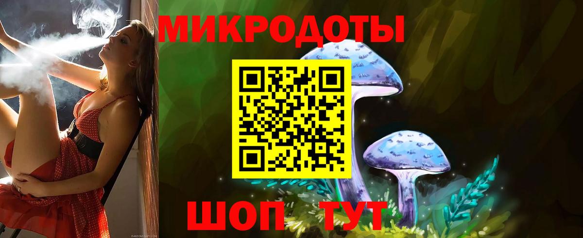 цена   Вход с VPN  Минеральные Воды  Галлюциногенные грибы Psilocybe 